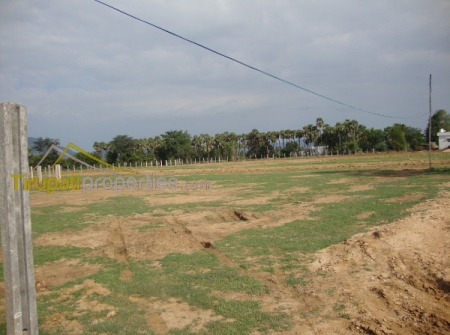 0) DTCP Approved Layout Plots for Sale Near to Tirupati - Sri Kalahasthi - Vijayawada Highway.JPG